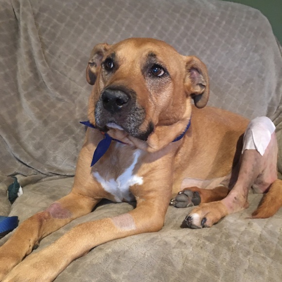 Meet your Posher, Juliana - Picture 1 of 1